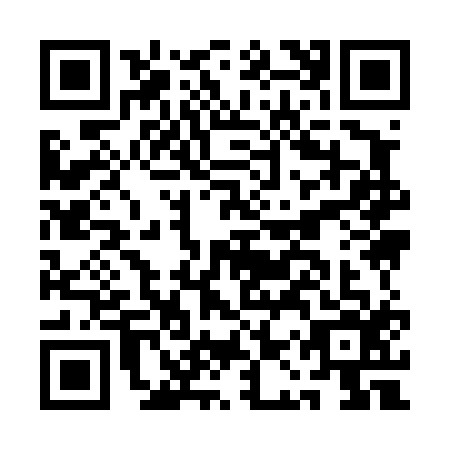 QR code for AAY4160