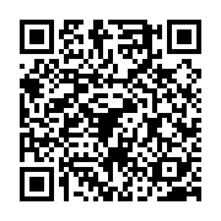 QR code for AFV1293