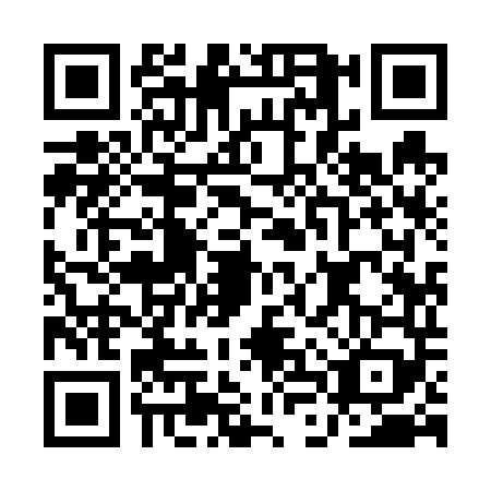 QR code for ALY6498