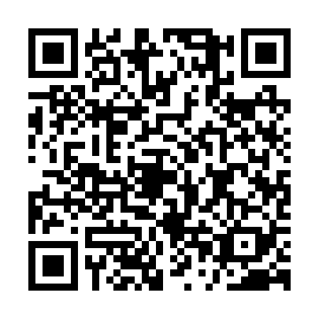 QR code for APA2295