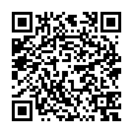 QR code for ARY2384