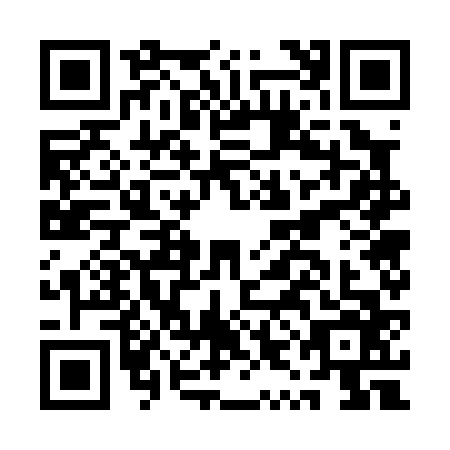 QR code for AYG0663
