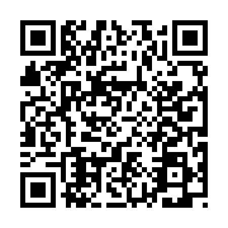 QR code for AYP9983