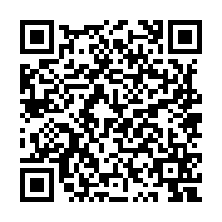 QR code for AYZ9656