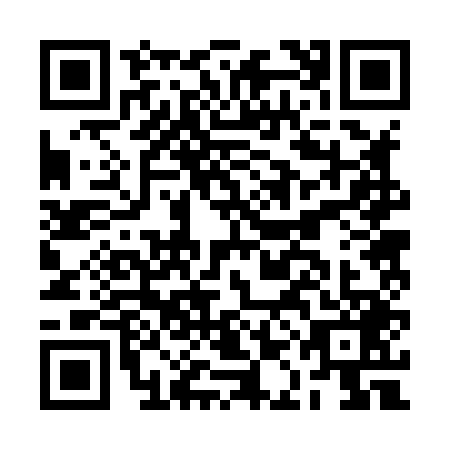 QR code for BAB8498
