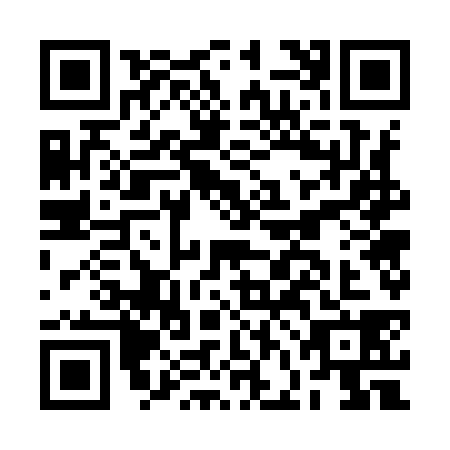 QR code for BFG9385