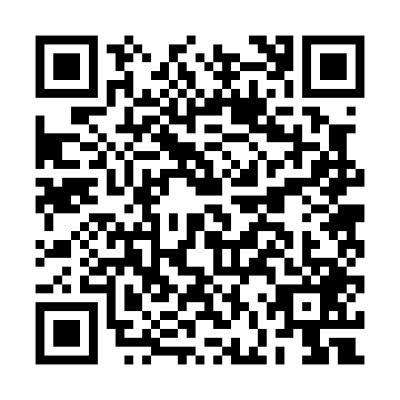 QR code for BFR0491