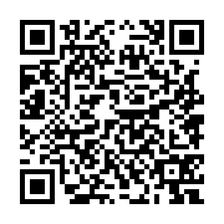 QR code for BIN1741