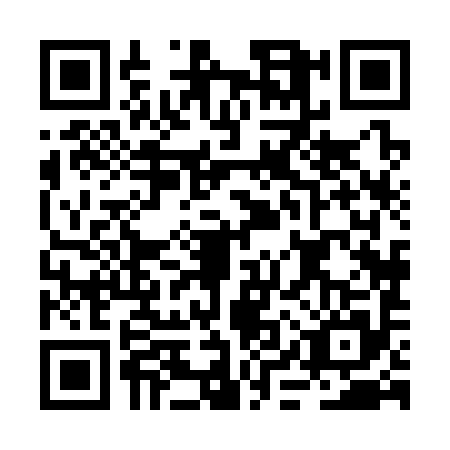 QR code for BIX3953