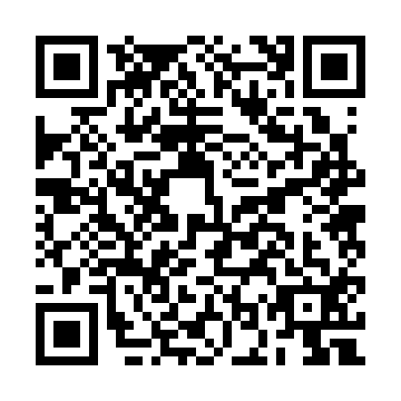 QR code for BOR3123