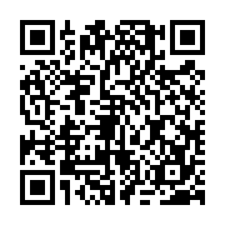 QR code for BOR4761