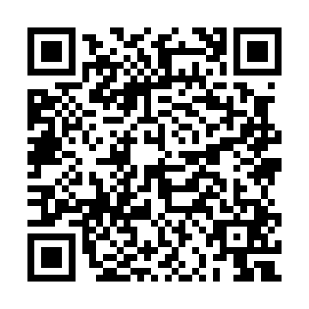 QR code for BRI0411