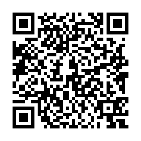 QR code for BRL1311