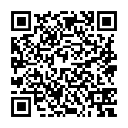 QR code for BXI9381