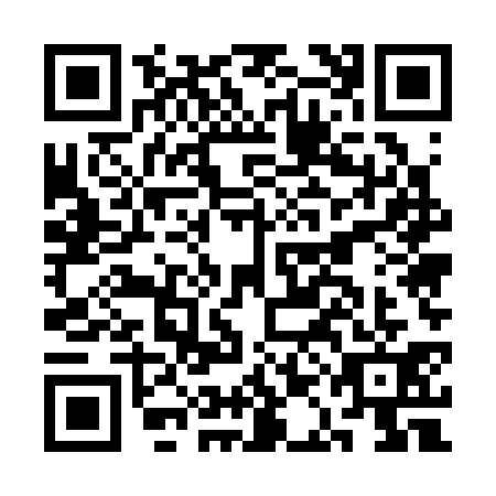 QR code for CAE3316