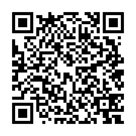 QR code for CAG6393