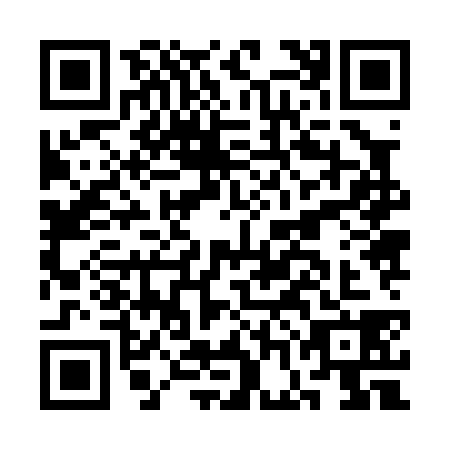 QR code for CGJ0382