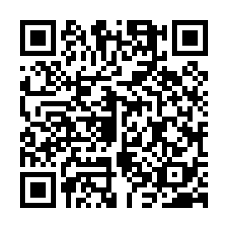 QR code for CHZ0384