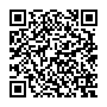 QR code for CIK4290