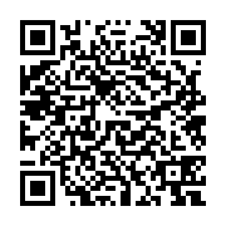 QR code for CIR1382