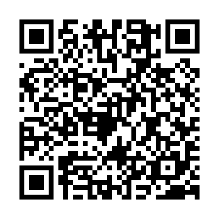 QR code for CKG0953