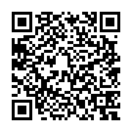 QR code for CMP0787
