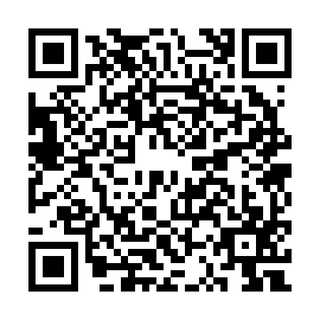 QR code for CSS2973
