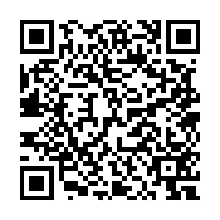 QR code for CZC5533