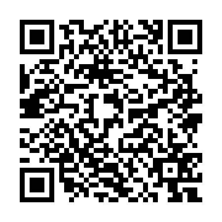 QR code for CZI3779