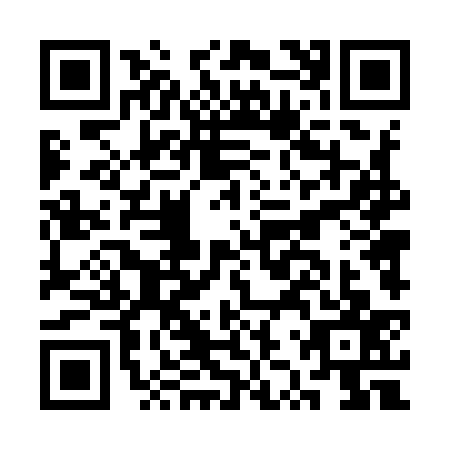 QR code for CZT9370