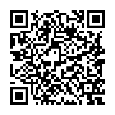 QR code for DHL9541