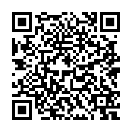 QR code for DHM0238