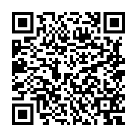 QR code for DIA8531