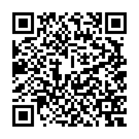 QR code for DIG4772