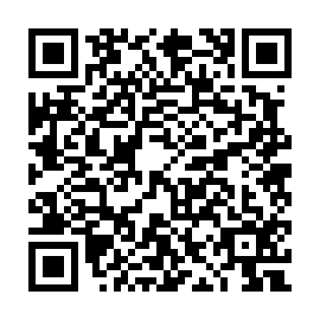 QR code for DIR4161