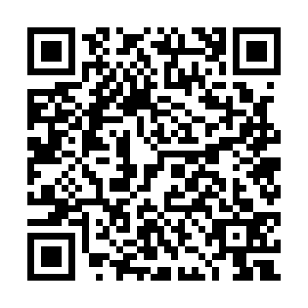 QR code for DJG1333