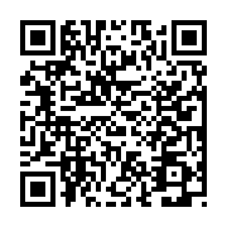 QR code for DJG9509