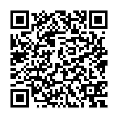 QR code for DLX1307