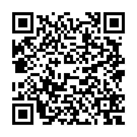 QR code for DNI4293