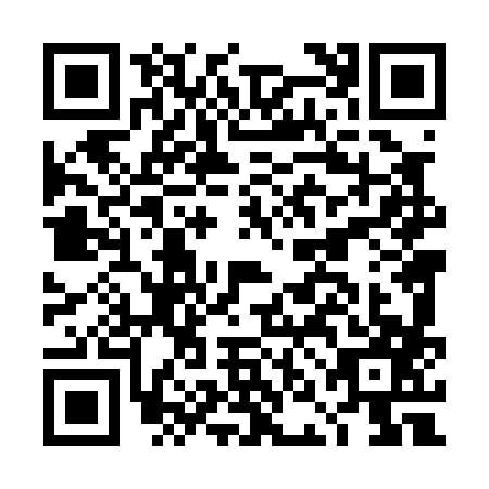 QR code for DNL0878