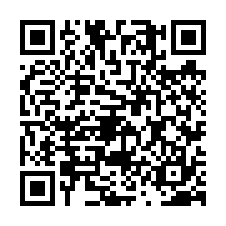 QR code for DQN6379