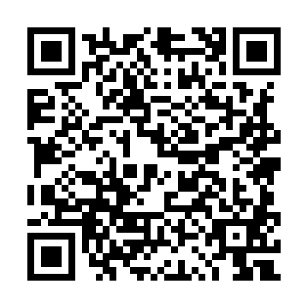 QR code for DSM9811