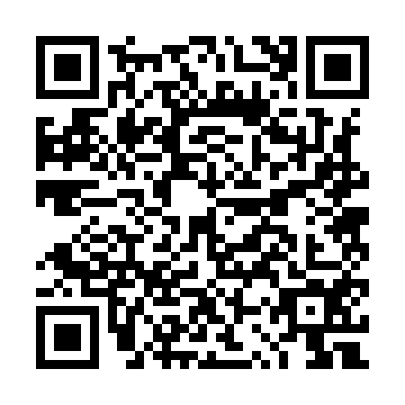 QR code for DSR9545