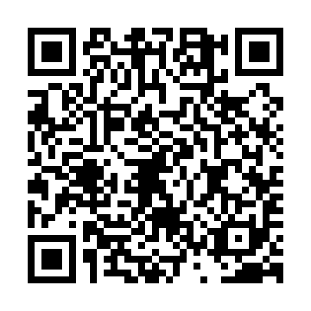 QR code for DSS1913