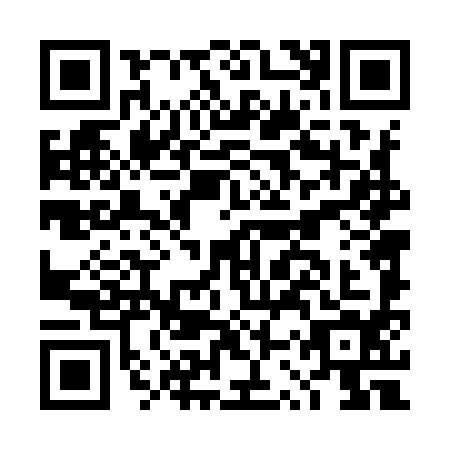 QR code for DST9941
