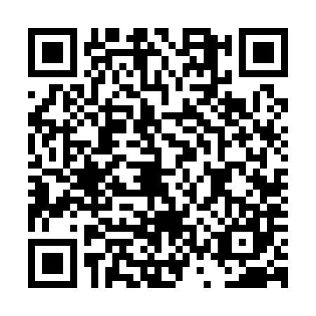 QR code for DSV1878