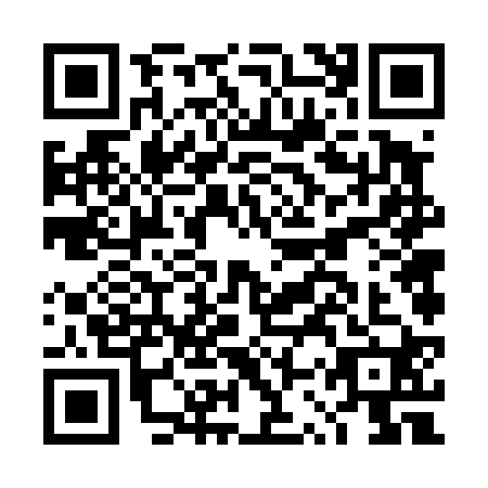 QR code for DSV4207