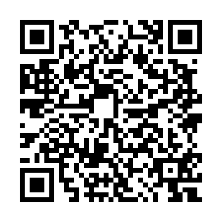 QR code for DSY4119