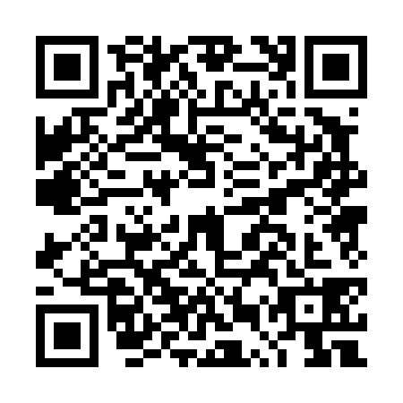 QR code for DUP4386