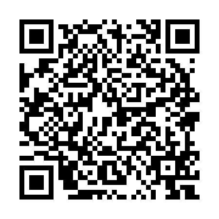 QR code for DVI2956